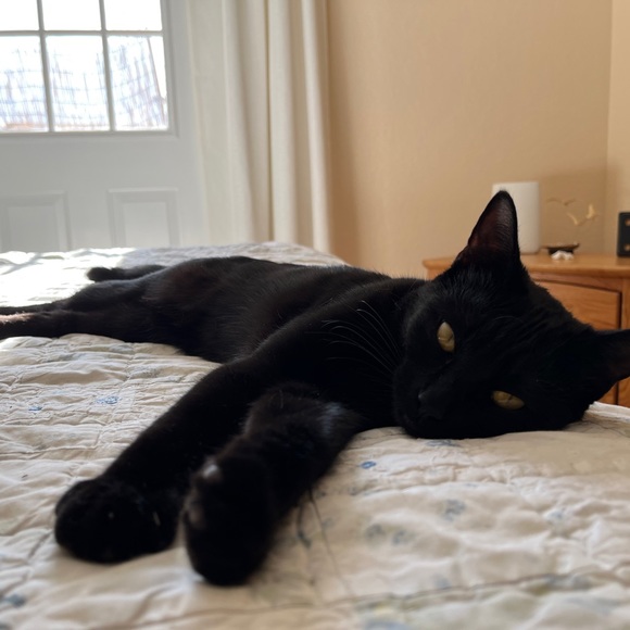 depop — @escapismmm - Picture 1 of 1